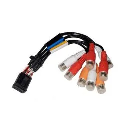 Fusion Loom B-Anschluss – RCA – Zone 1Plus2 Apollo-Serie – RA70–70N–BB100