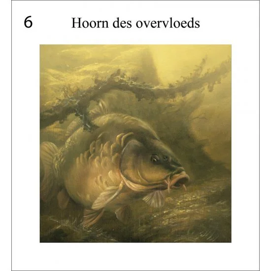 Rob Schneider Carp In Sight – Bild 7