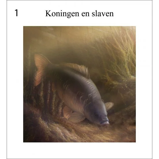 Rob Schneider Carp In Sight – Bild 2