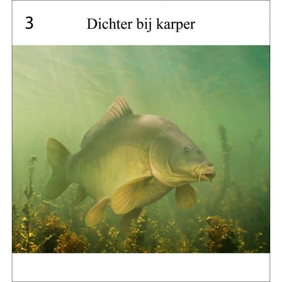 Rob Schneider Carp In Sight – Bild 4