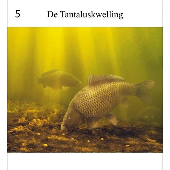 Rob Schneider Carp In Sight – Bild 6