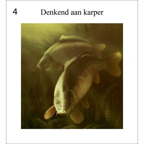 Rob Schneider Carp In Sight – Bild 5