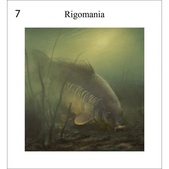 Rob Schneider Carp In Sight – Bild 8