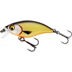 Westin BuzzBite SR Crankbait 5 Cm 6 G Niedrig Schwimmende Offizielle Rotauge