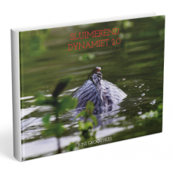 Rini Groothuis Dormant Dynamite 2.0