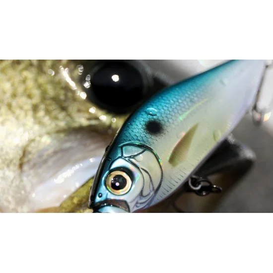 Megabass Flap Slap LBO AL Evening Gill – Bild 3